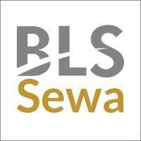 BLS E-Services IPO 